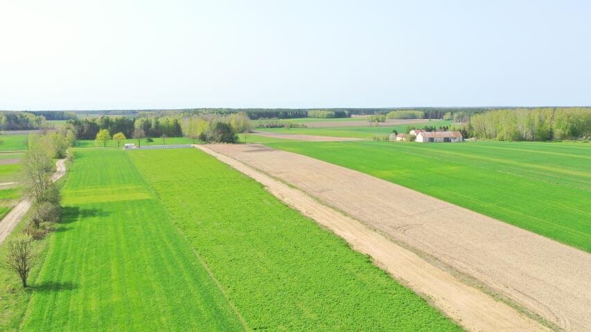 Działka budowlana na sprzedaż Szczepankowo  1 017m2 Foto 2