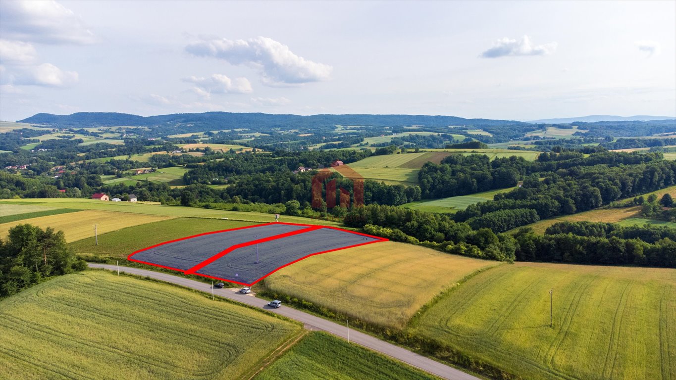 Działka budowlana na sprzedaż Wielopole Skrzyńskie  3 650m2 Foto 1