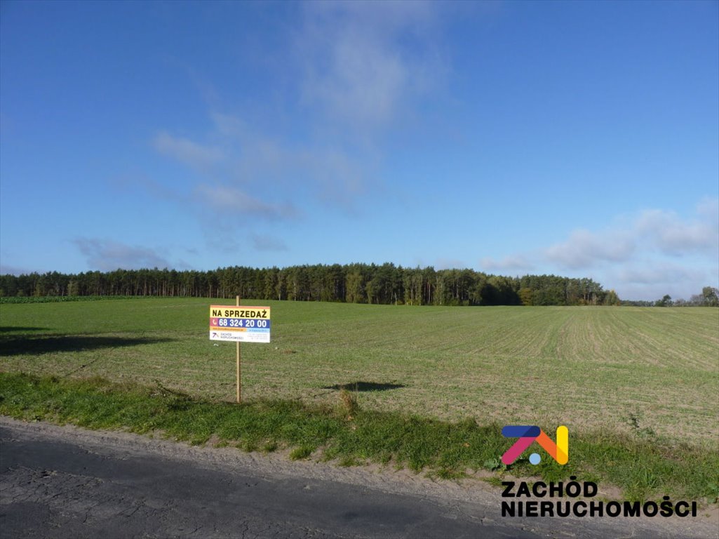 Działka rolna na sprzedaż Świebodzin  12 700m2 Foto 1