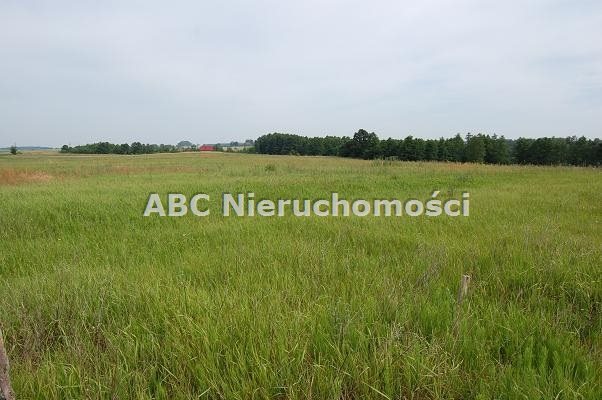 Działka budowlana na sprzedaż Zalesie  1 038m2 Foto 9