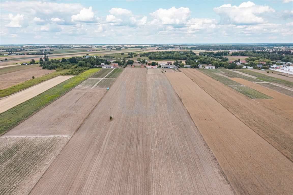 Działka przemysłowo-handlowa na sprzedaż Henrysin  62 500m2 Foto 9