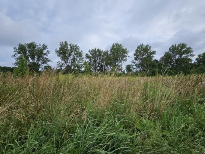 Działka budowlana na sprzedaż Główczyce  2 722m2 Foto 1