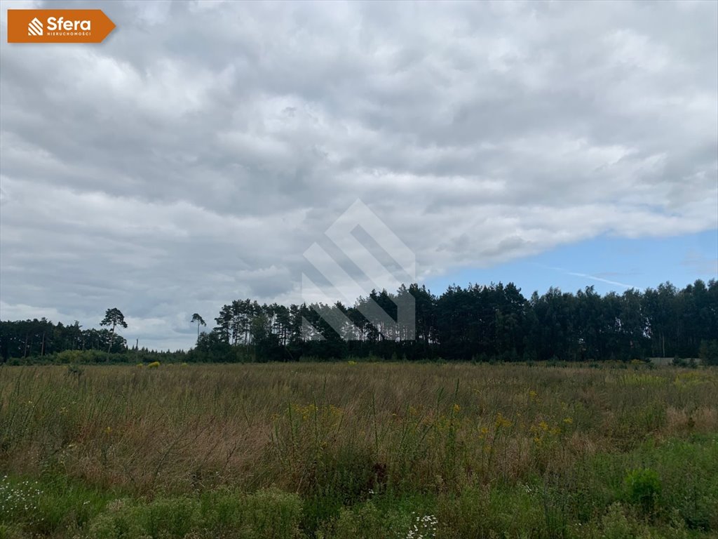 Działka budowlana na sprzedaż Wilcze  1 123m2 Foto 4