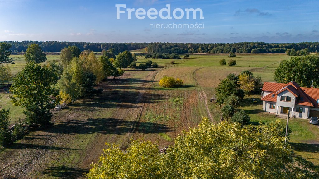 Działka budowlana na sprzedaż Borki, Błękitna  28 300m2 Foto 9