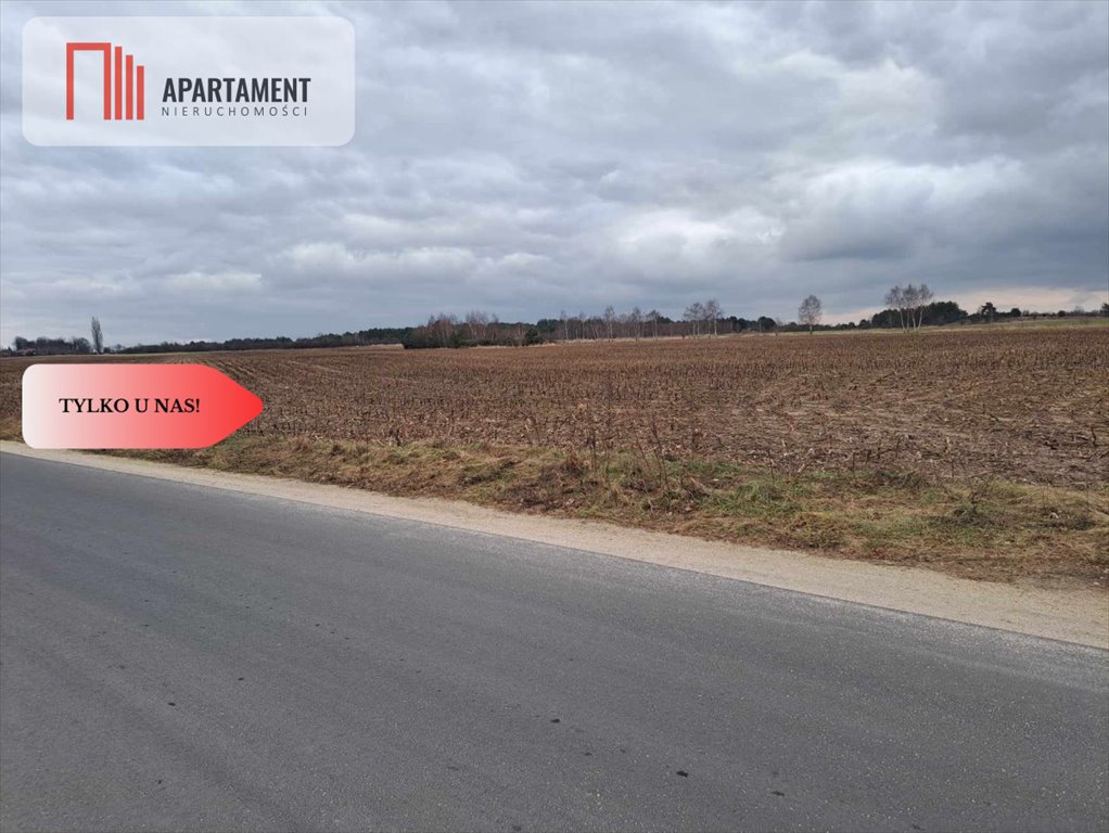 Działka 10 000 m² pod zabudowę jednorodzinną w Wołowie Wołów  10 000m2 Foto 1