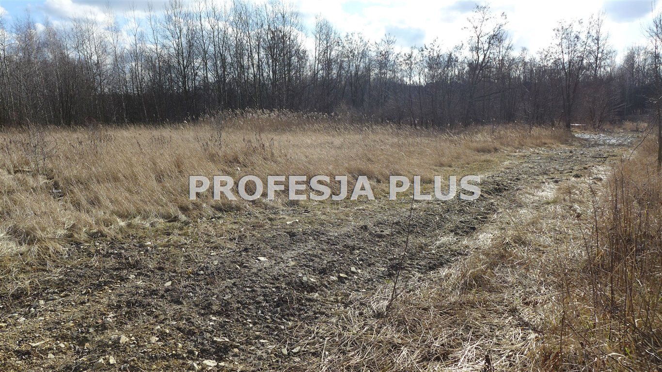 Działka inwestycyjna 8 500 m² z mediami i dobrą komunikacją Będzin  8 500m2 Foto 1