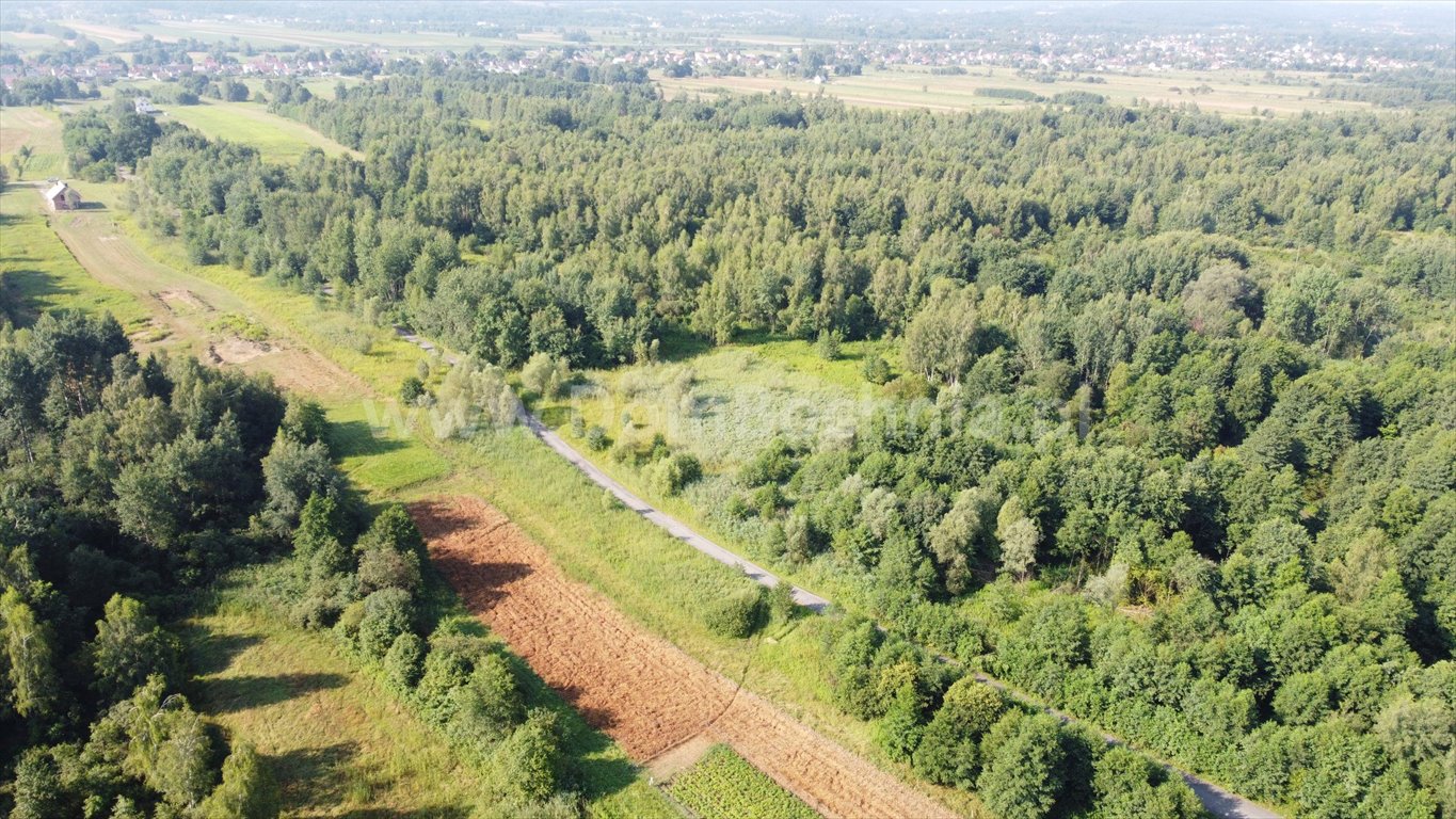 Działka budowlana na sprzedaż Jodłówka  12 700m2 Foto 10