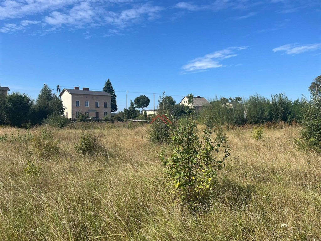 Działka rolna na sprzedaż Najmowo, Najmowo, najmowo  16 000m2 Foto 6