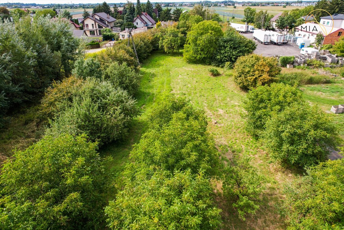 Działka budowlana na sprzedaż Babice Nowe, Dolna  5 683m2 Foto 13