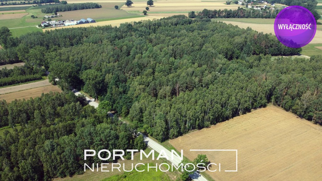 Działka 15 200 m² w Dobrzyniec (cisza, dojazd S17) Dobrzyniec  15 200m2 Foto 1