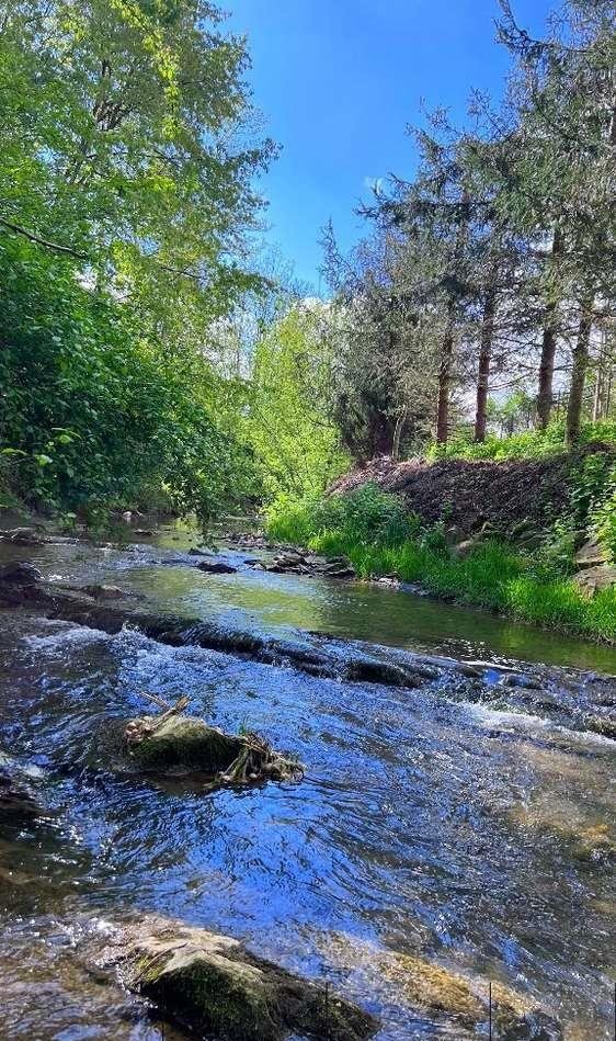 Działka inna na sprzedaż Rogi  800m2 Foto 3