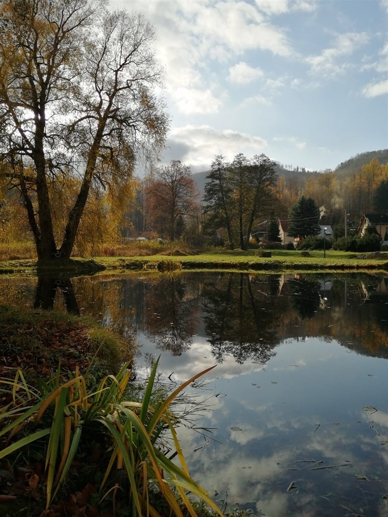 Dom na sprzedaż Zachełmie  450m2 Foto 19