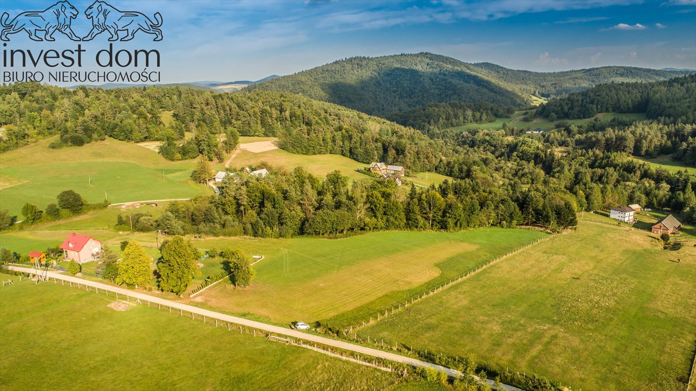 Działka budowlana na sprzedaż Florynka  1 244m2 Foto 12