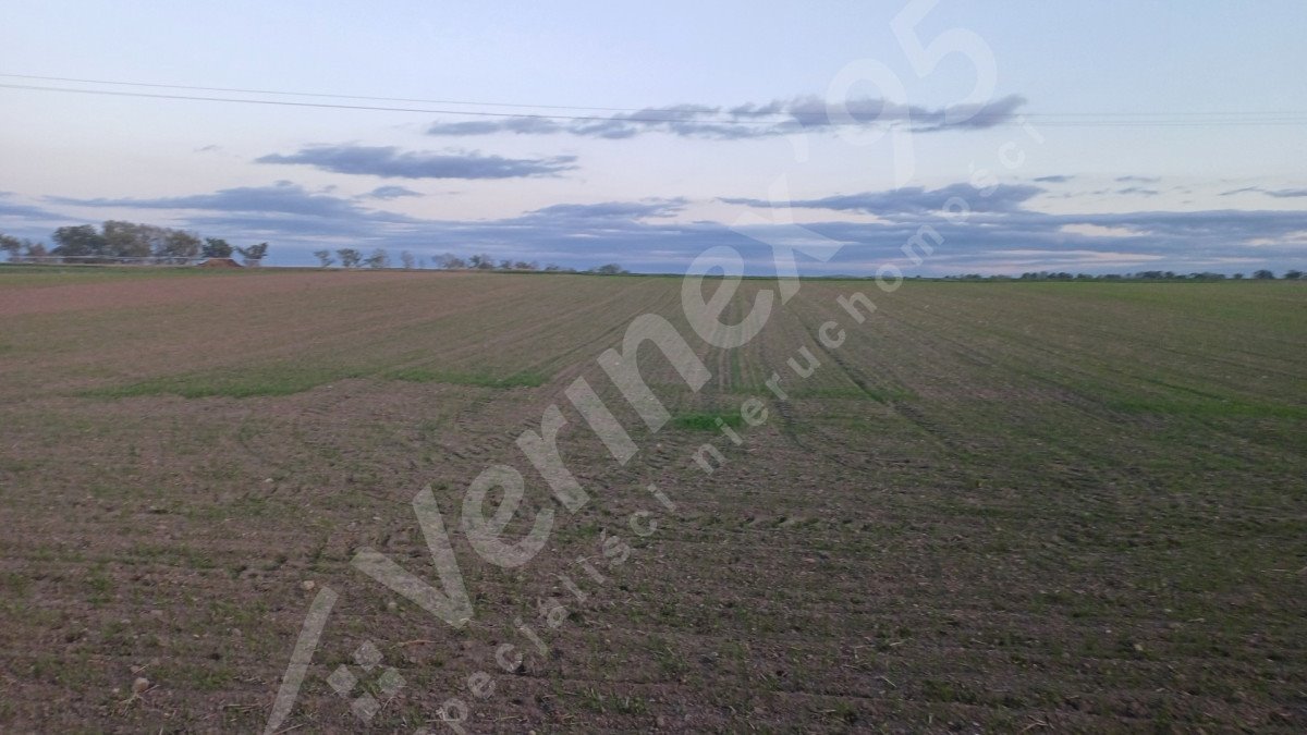 Na sprzedaż działka 2021 m² z pozwoleniami i widokiem Piotrowice  2 021m2 Foto 1