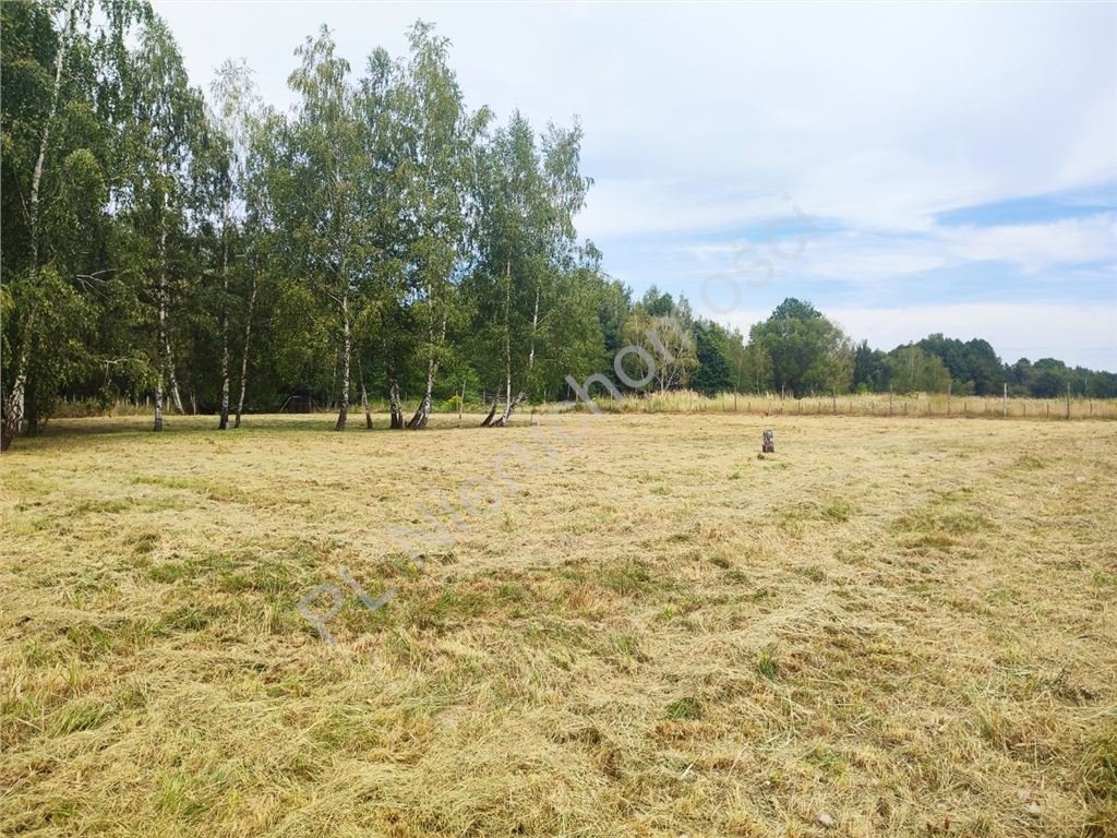 Działka budowlana na sprzedaż Radonie  3 000m2 Foto 2