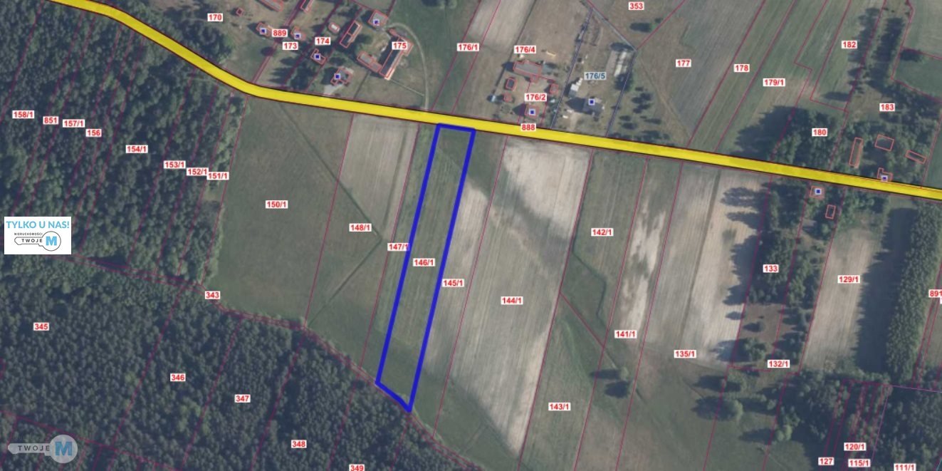 Działka 8 000 m² z warunkami zabudowy i dostępem do mediów Kluczewsko, Stanowiska  8 000m2 Foto 1