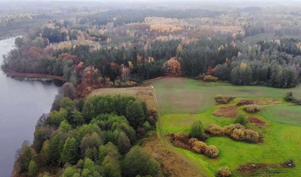 Działka rolna na sprzedaż Świętajno  3 010m2 Foto 6