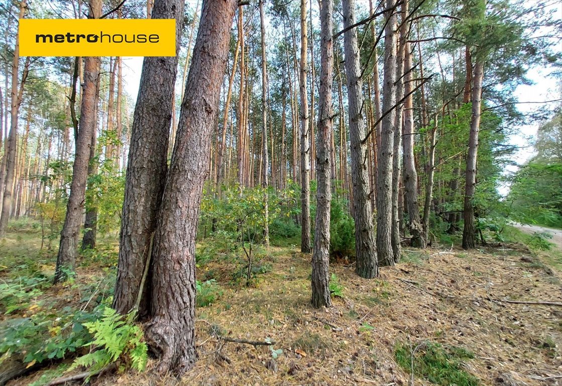 Działka leśna na sprzedaż Klonownica Mała  130 394m2 Foto 1