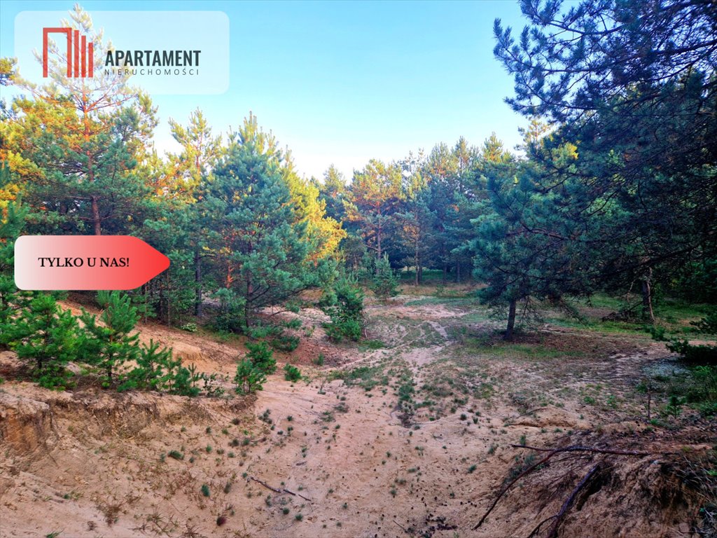 Działka 1,4 ha z możliwością zabudowy w Borach Tucholskich Będźmierowice  14 000m2 Foto 1