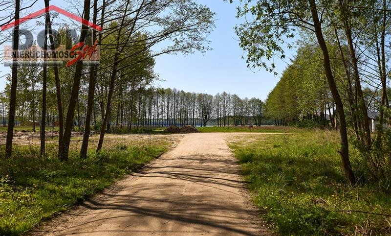 Działka budowlana na sprzedaż Gudowo  8 000m2 Foto 6