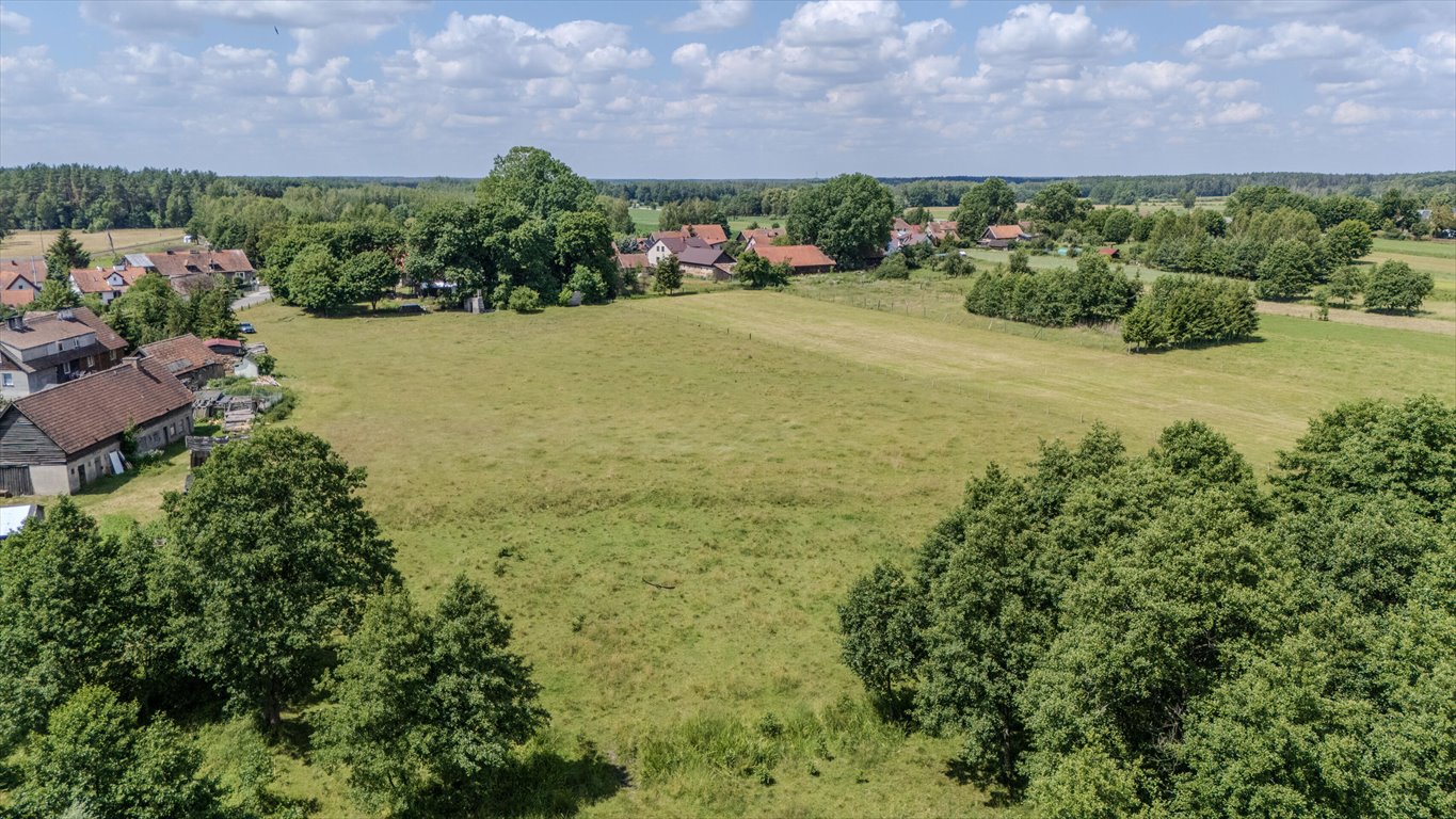 Działka budowlana na sprzedaż Kolonia  14 500m2 Foto 7