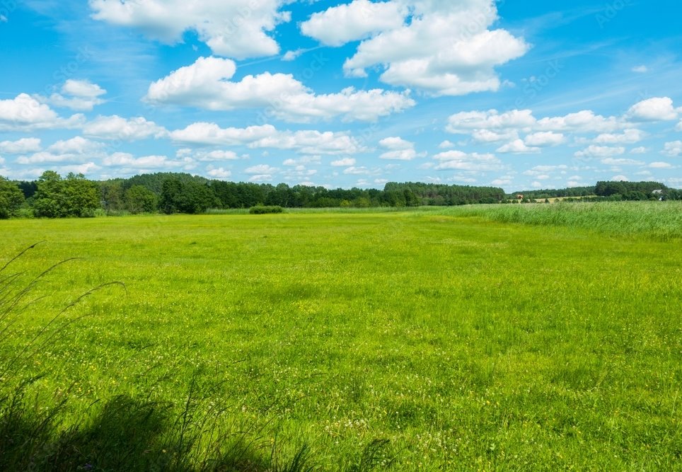 Działka rolna na sprzedaż Koszalin  400 000m2 Foto 1