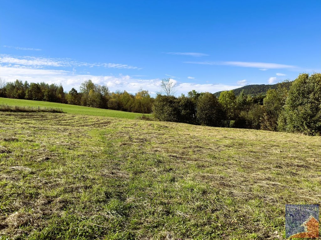 Działka budowlana na sprzedaż Pisarzowa  4 873m2 Foto 5