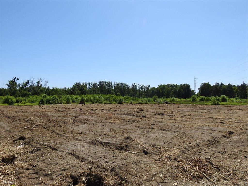 Działka budowlana na sprzedaż Dobieszowice, Niebyła  1 508m2 Foto 1