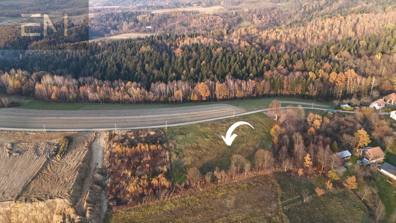 Działka budowlana na sprzedaż Żarnowa  5 000m2 Foto 4