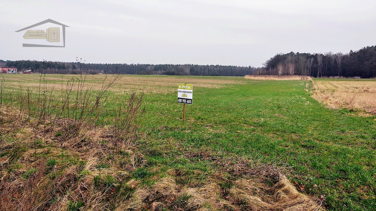 Działka budowlana na sprzedaż Kośmidry, Szkolna  900m2 Foto 1