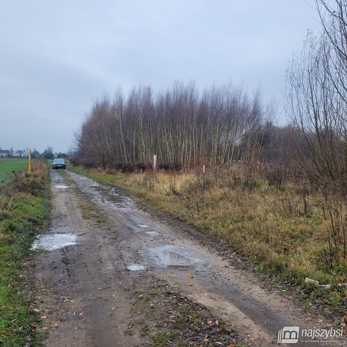 Działka rolna na sprzedaż Żółwia Błoć, Wieś  23 800m2 Foto 9