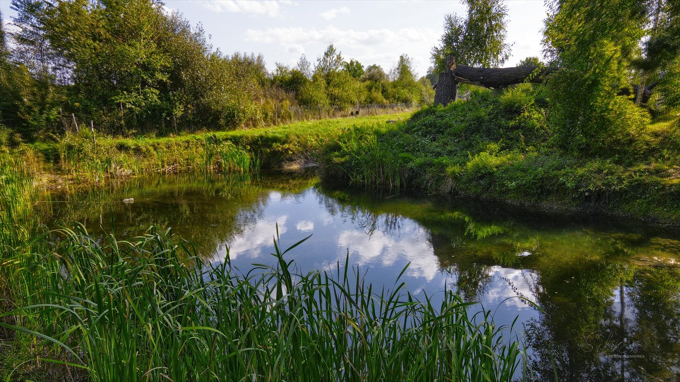 Dom na sprzedaż Budy Michałowskie  164m2 Foto 11