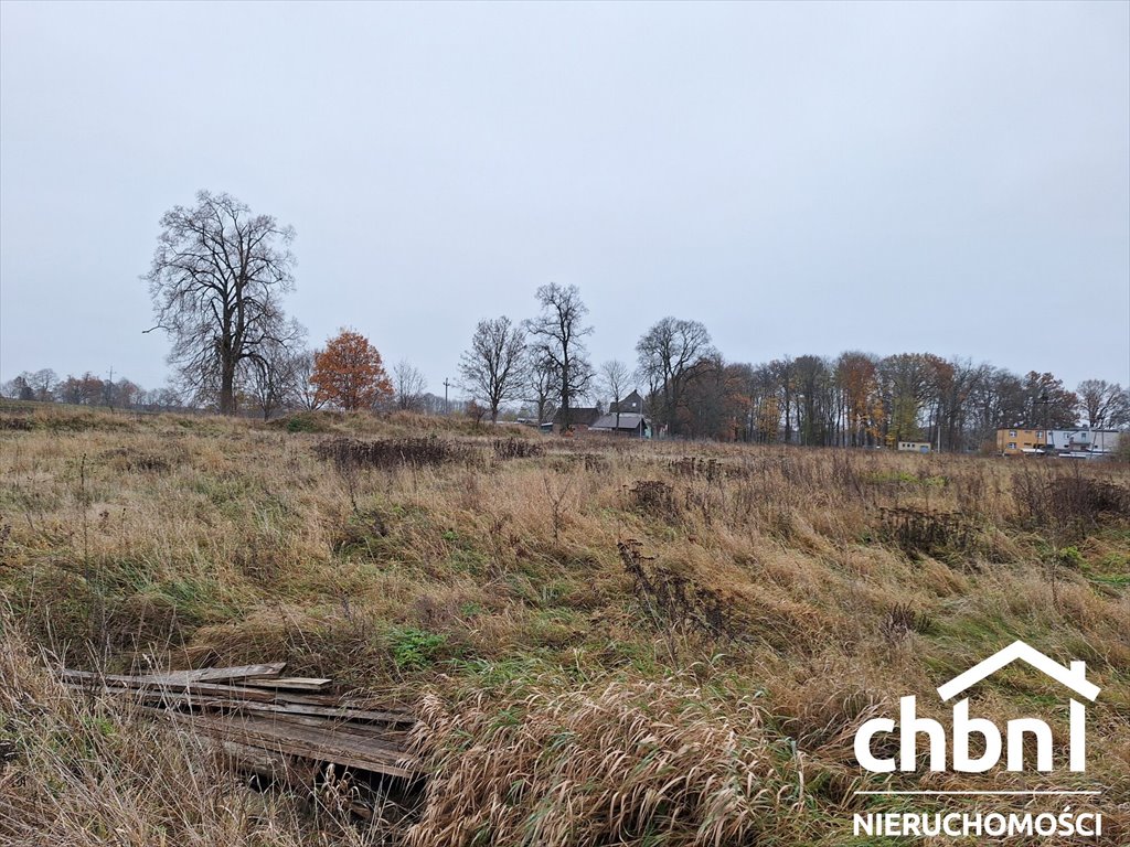 Działka rolna na sprzedaż Konarzyny, Żychce  10 000m2 Foto 9