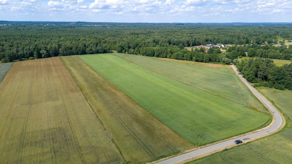 Działka budowlana na sprzedaż Woźniki, Czarny Las, Czarny Las  29 522m2 Foto 8