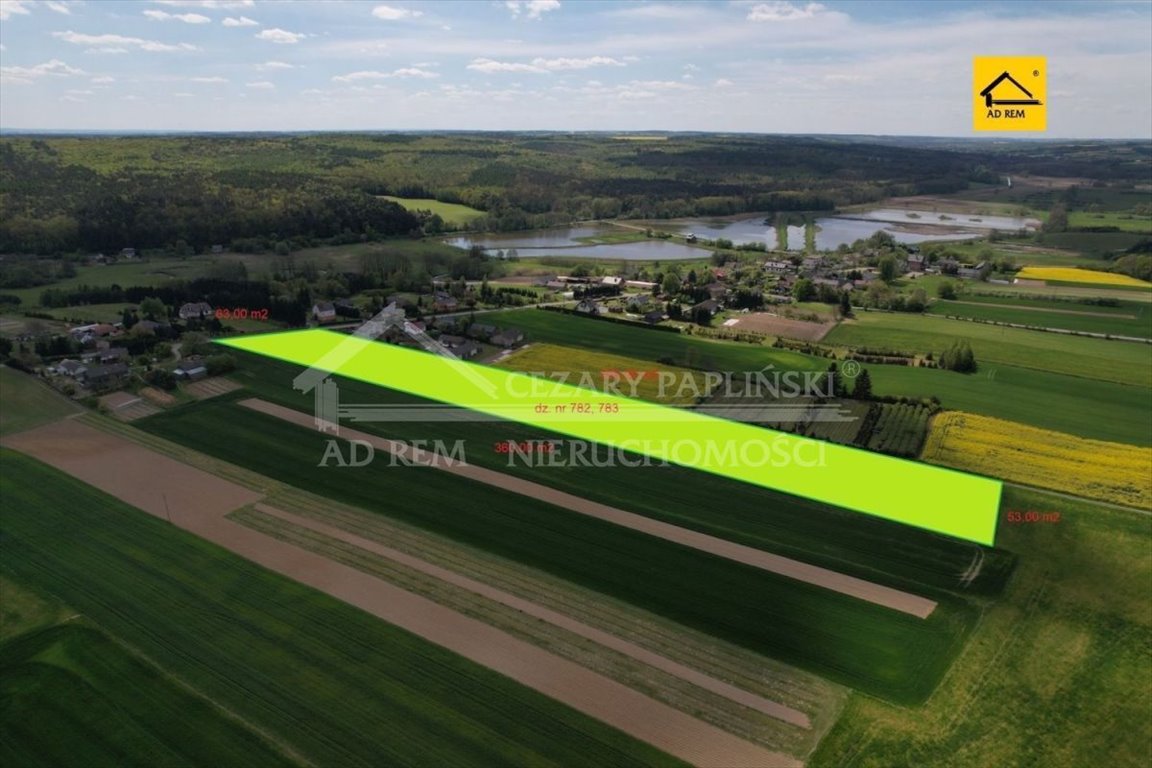 Działka inwestycyjna na sprzedaż Niemienice, Niemienice  19 500m2 Foto 1