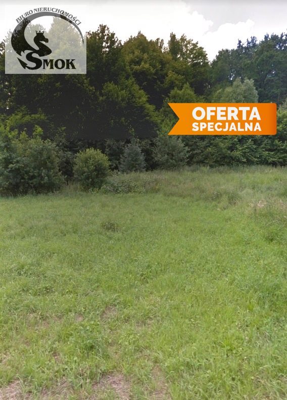 Widokowa działka rolna 43 a z dojazdem 350 m od asfaltu Wola Radziszowska  4 300m2 Foto 1