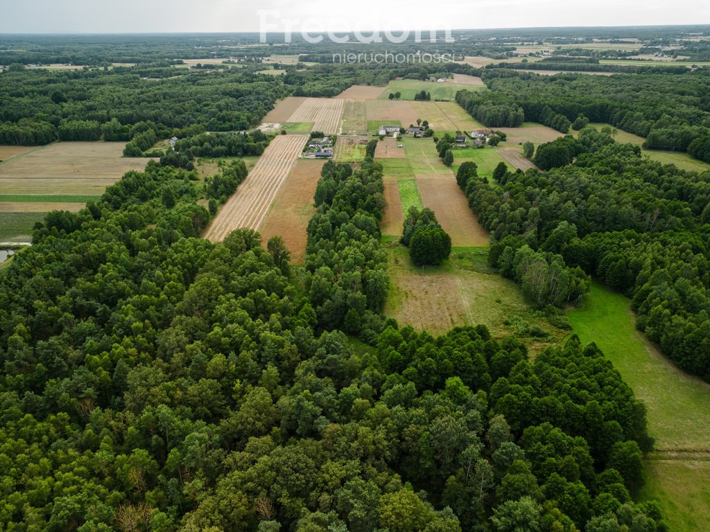 Działka budowlana na sprzedaż Drużbice  1 264m2 Foto 2