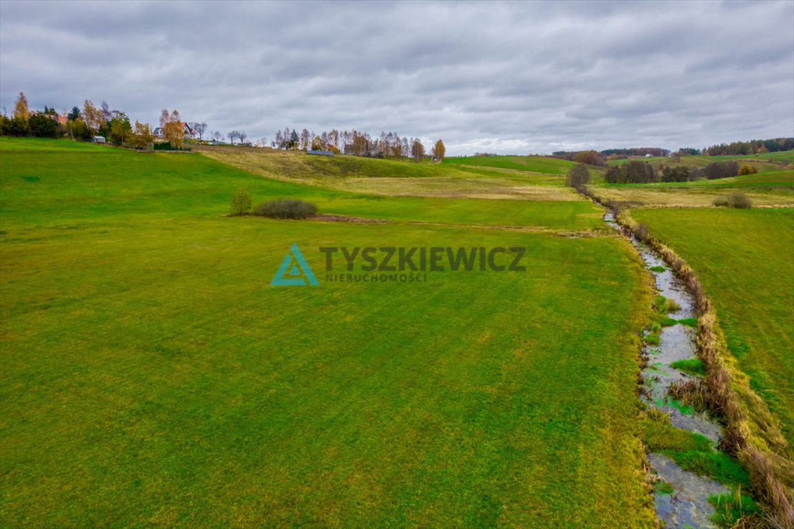 Działka rolna na sprzedaż Połęczyno  11 600m2 Foto 10