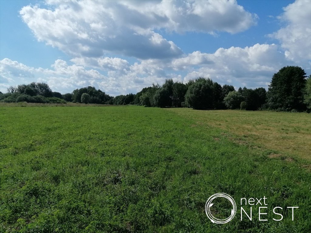 Działka siedliskowa na sprzedaż Wilczkowice Dolne  8 000m2 Foto 1