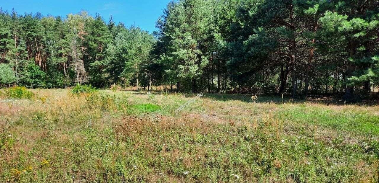 Działka budowlana na sprzedaż Adamów-Wieś  1 501m2 Foto 7