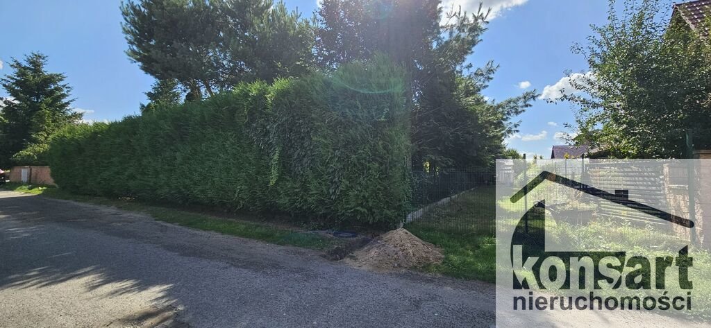 Zdjęcie 8