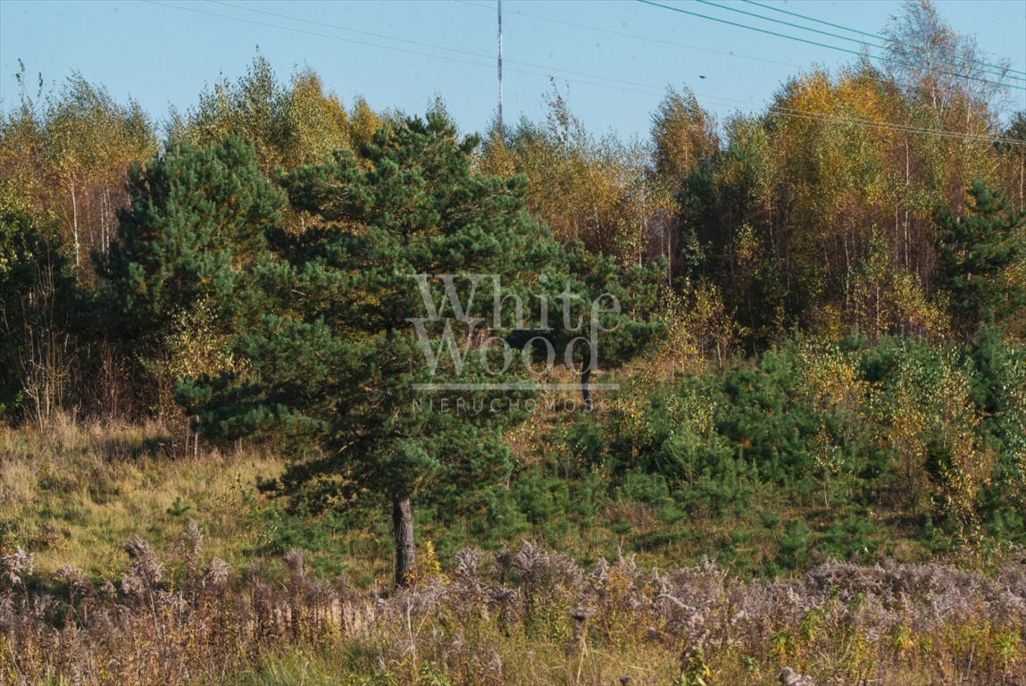 Działka budowlana na sprzedaż Dobrzewino  1 000m2 Foto 11