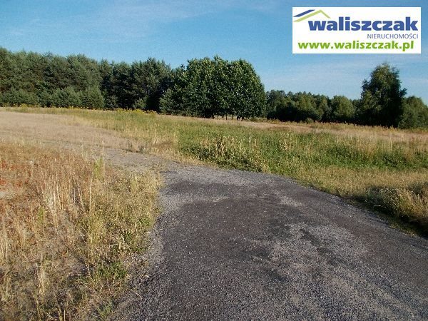 Działka budowlana na sprzedaż Paskrzyn 7 300m2 Foto 1 Działka budowlana na sprzedaż Paskrzyn 7 300m2 Foto 1