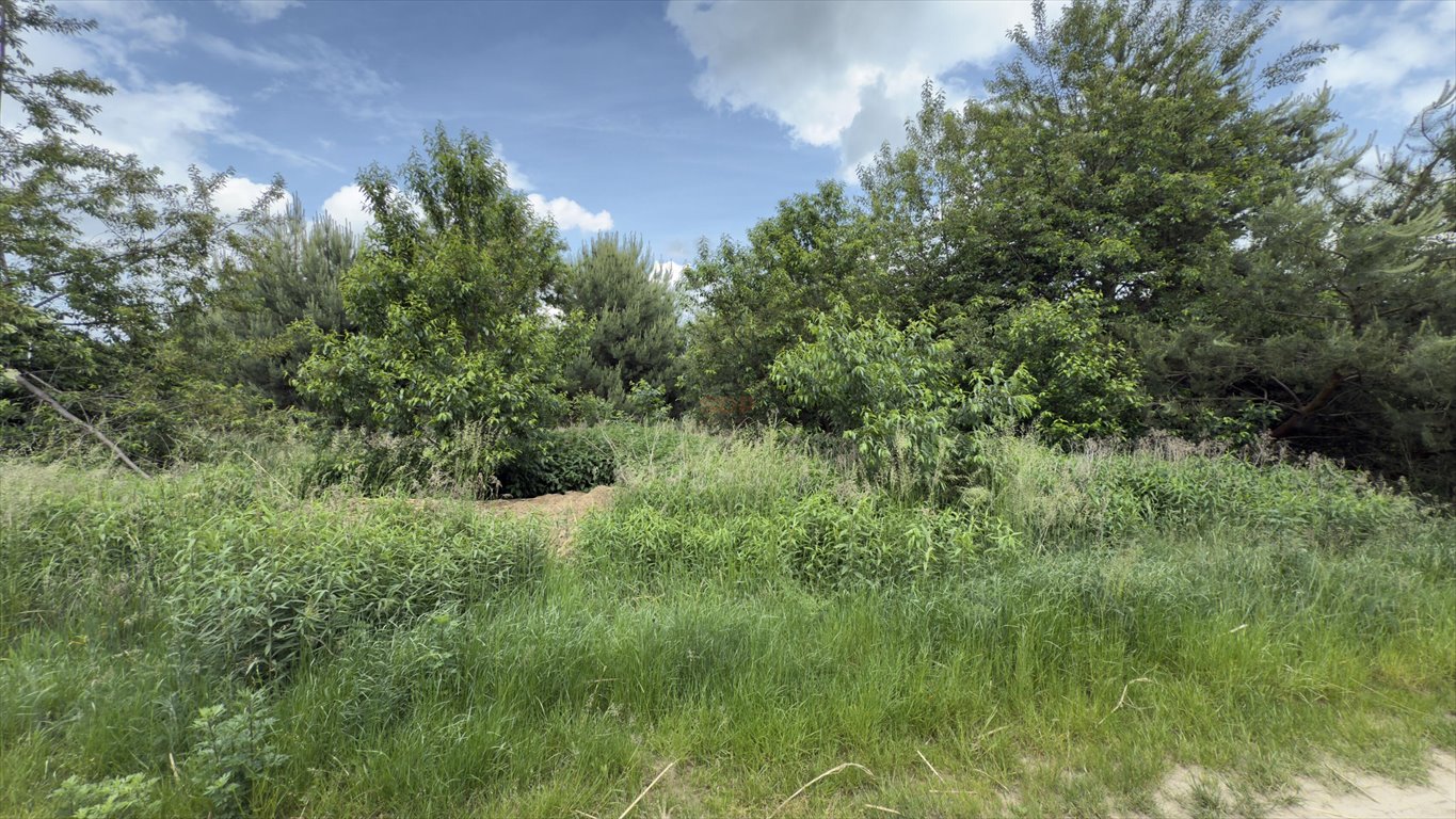 Działka 1700 m² w Piszkawie – blisko natury i miasta Piszkawa  1 700m2 Foto 1