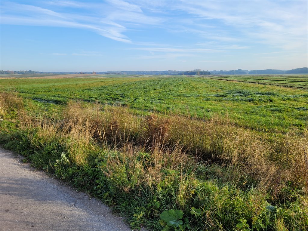 Działka rolna na sprzedaż Jędrzejów, Gozna  32 709m2 Foto 1