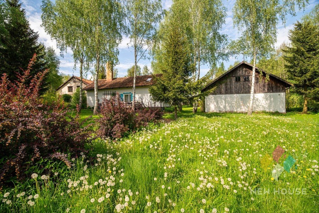 Działka siedliskowa na sprzedaż Wajsnory  190 400m2 Foto 4