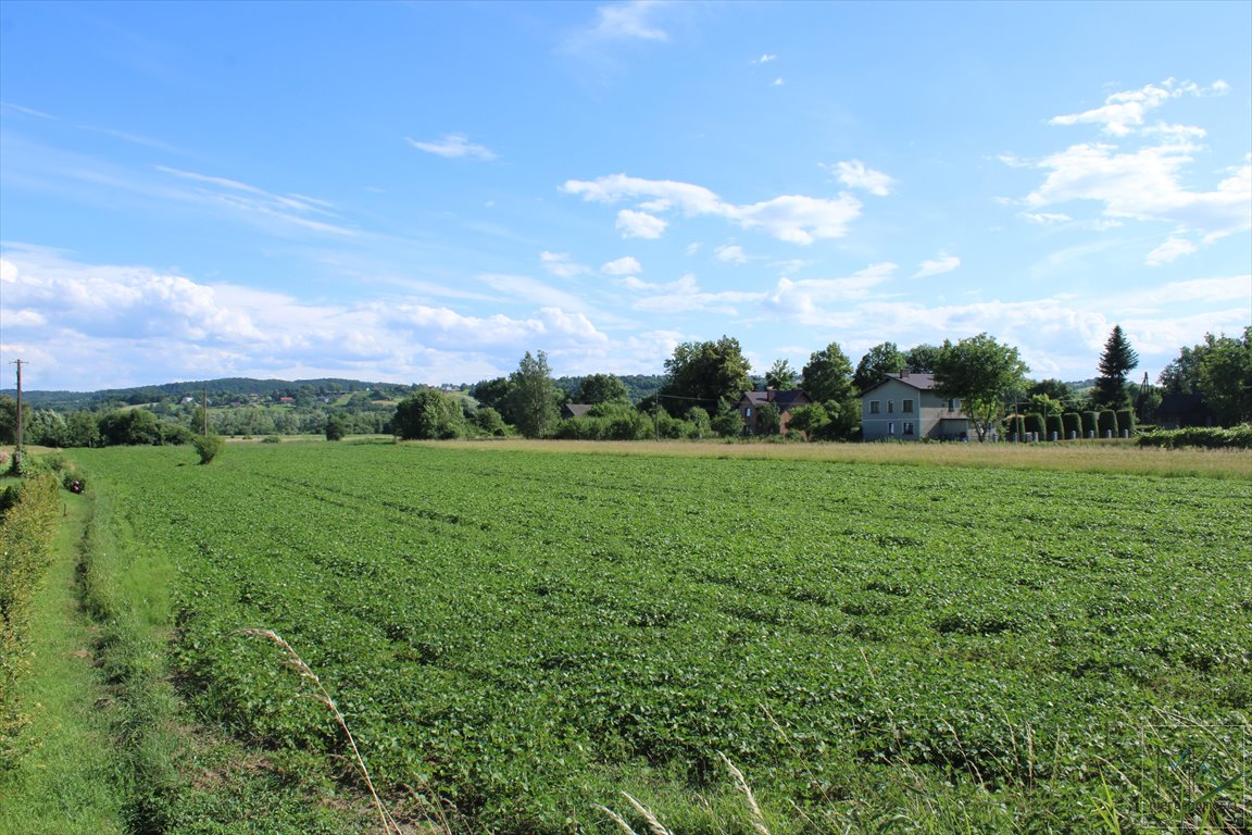 Działka budowlana na sprzedaż Winiary  1 100m2 Foto 5