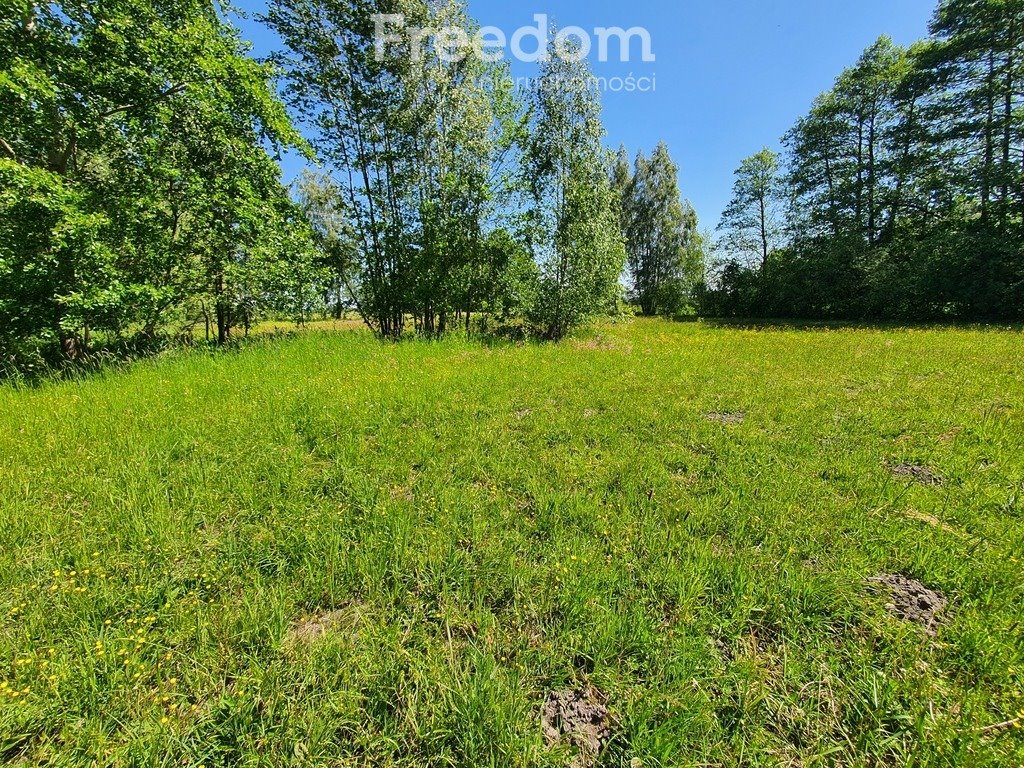 Działka budowlana na sprzedaż Maksymilianów  3 000m2 Foto 3