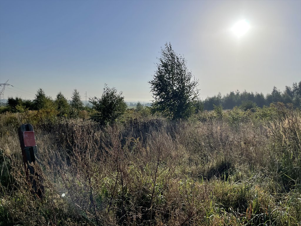 Działka budowlana na sprzedaż Baranów, Boza Wola  1 017m2 Foto 1