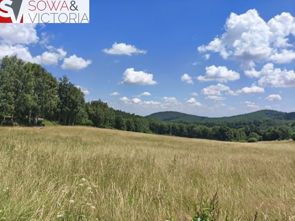 Działka 3000 m² z widokami, warunkami zabudowy i dostępem Michałkowa  3 000m2 Foto 1